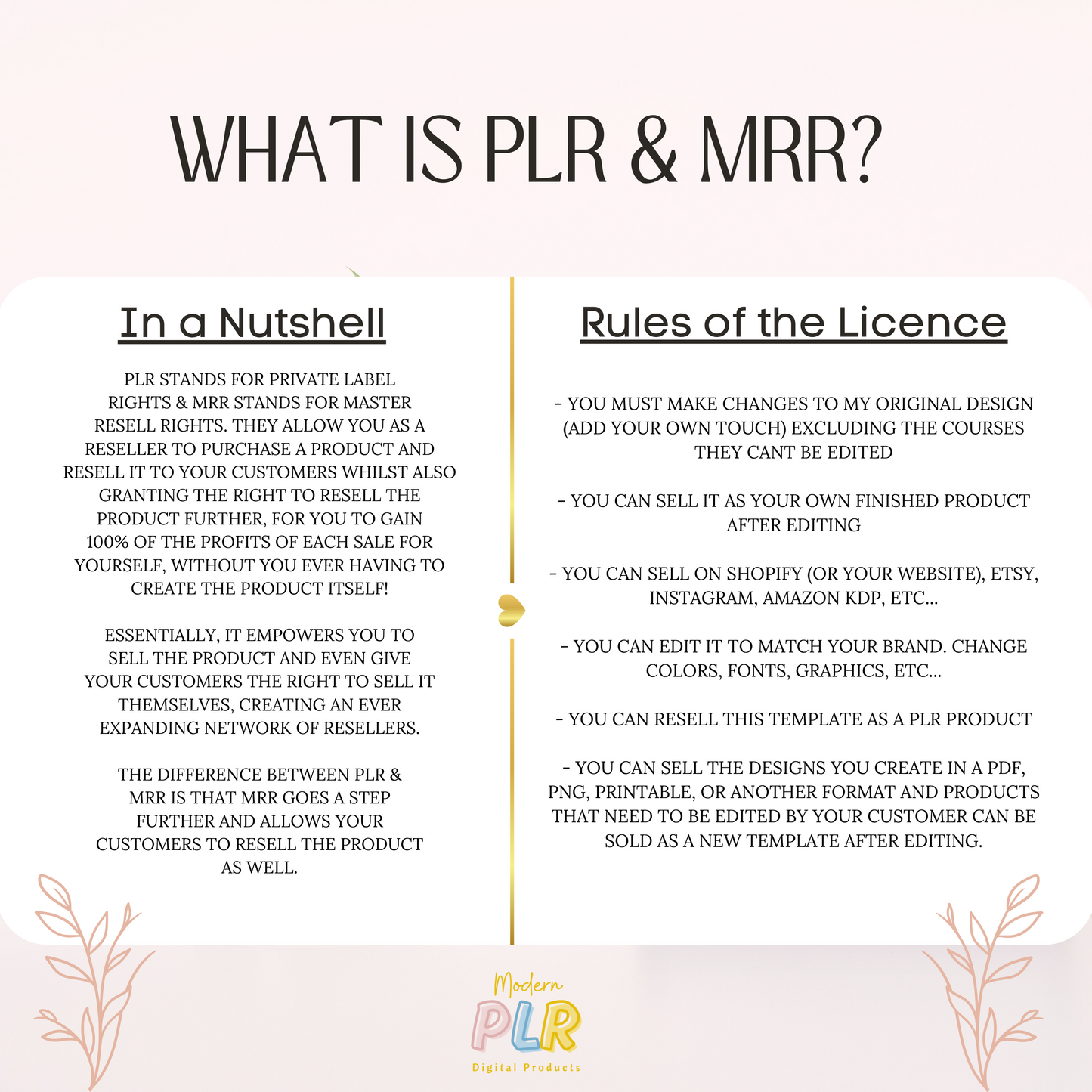 3 Months of Social Media Content PLR/MRR