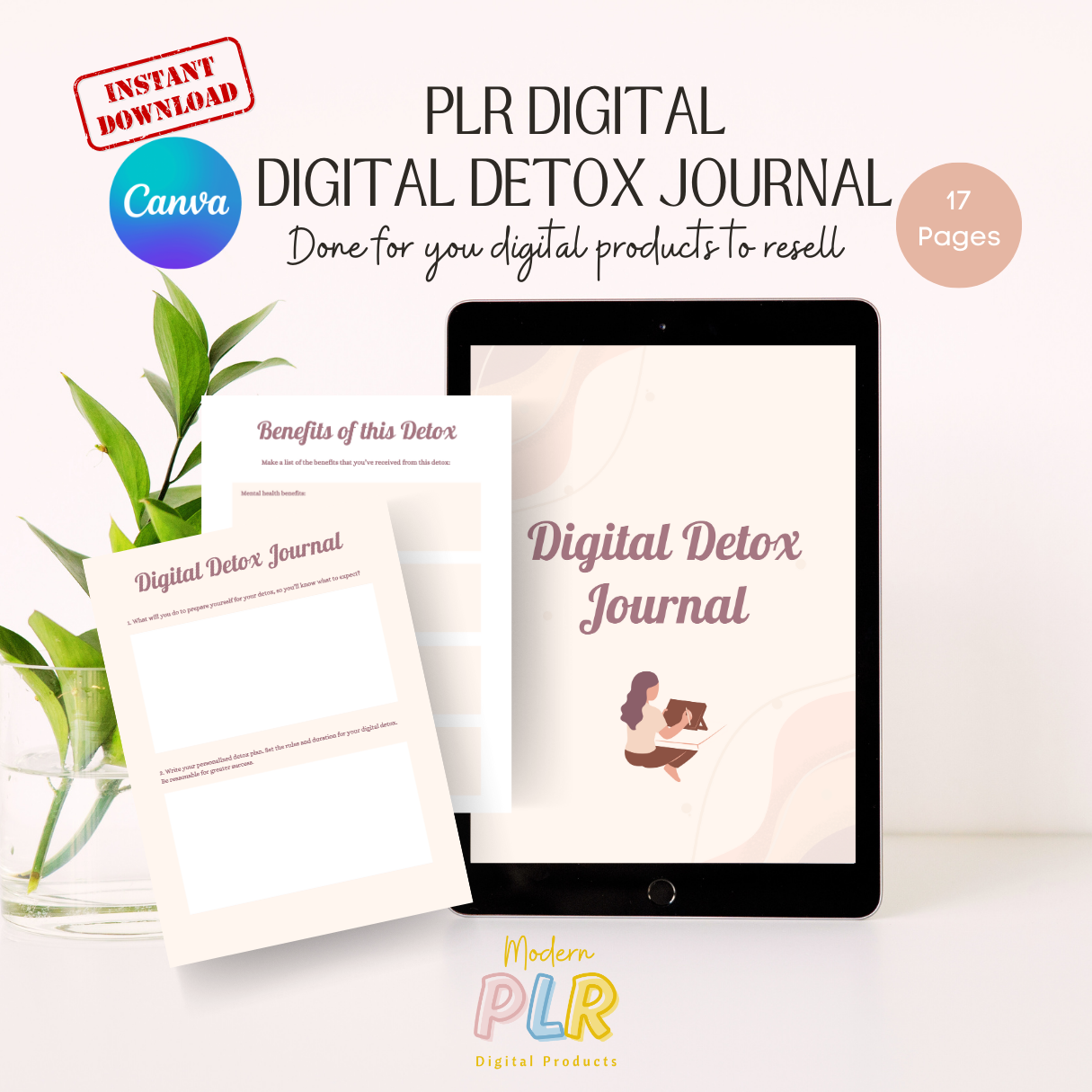 Digital Detox Journal PLR/MRR