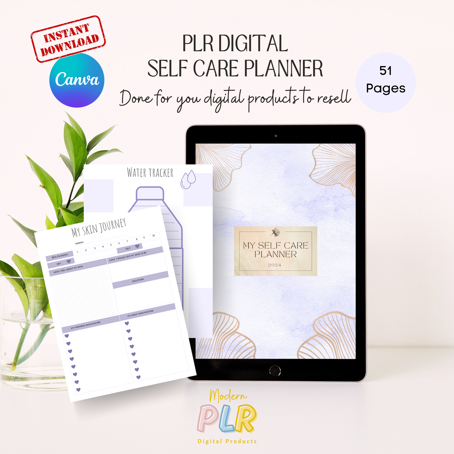 self care planner plr/mrr