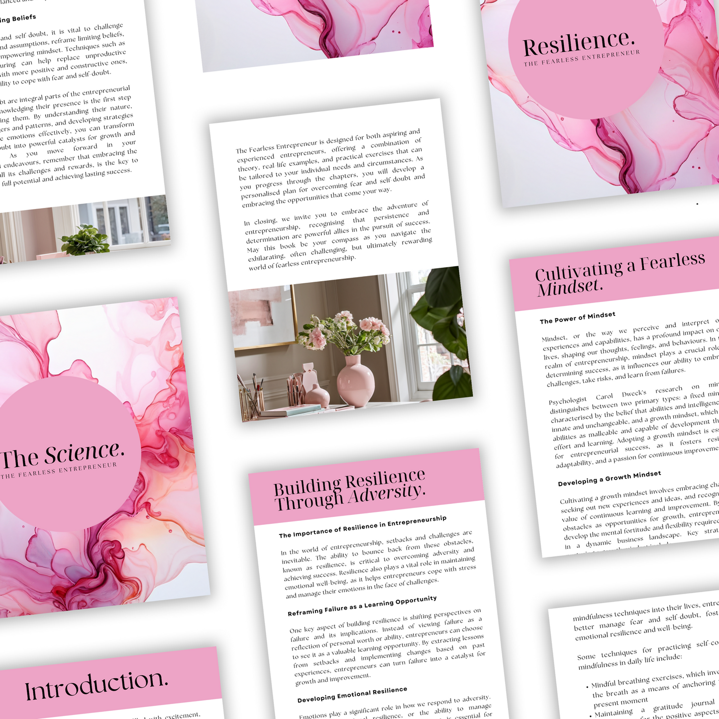 the fearless entrepreneur ebook plr/mrr