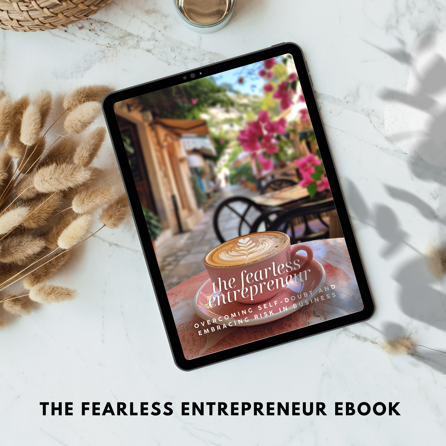 the fearless entrepreneur ebook plr/mrr