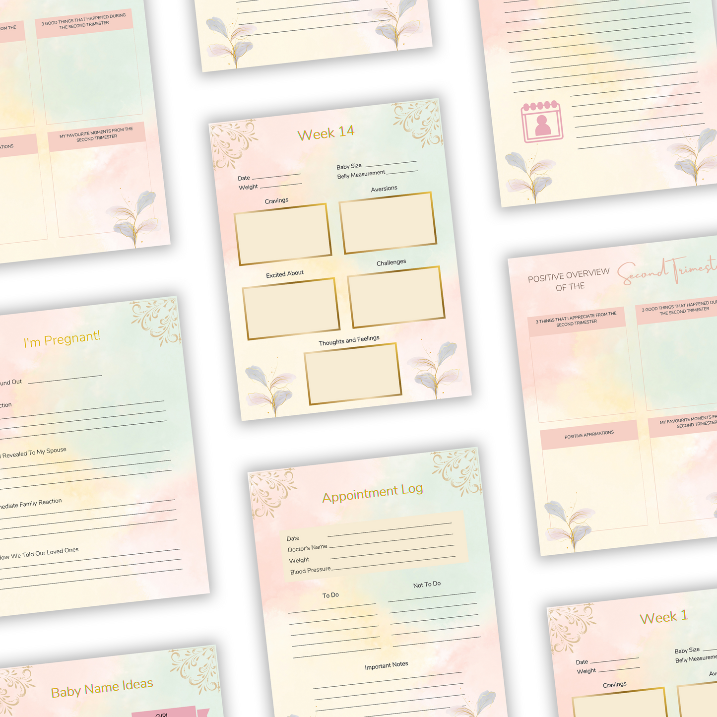 pregnancy journal plr/mrr