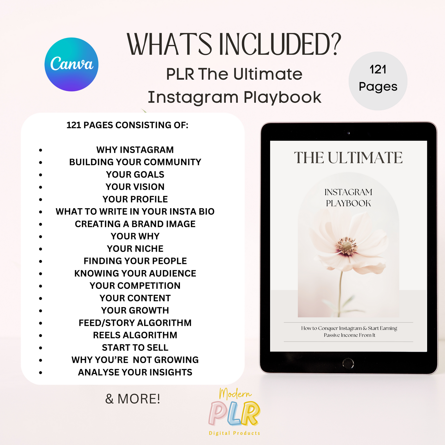the ultimate instagram playbook plr/mrr