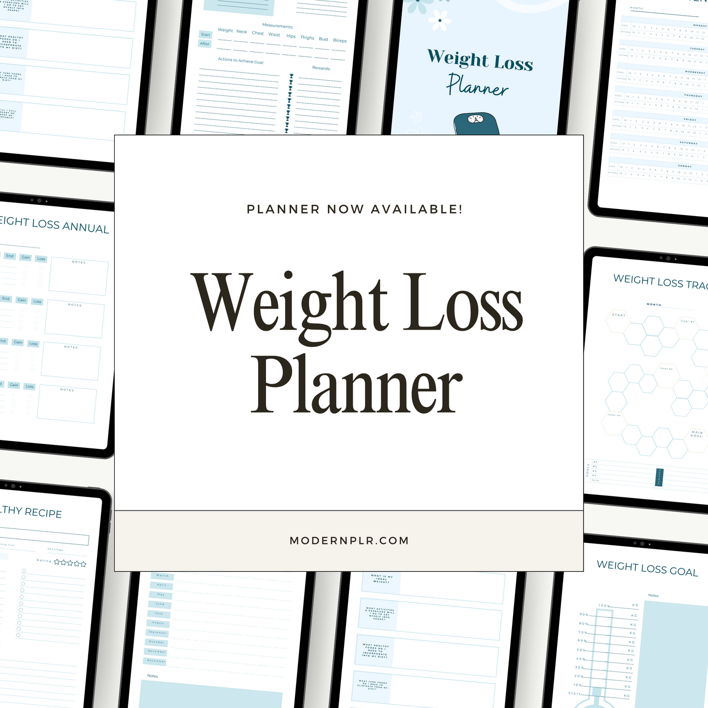 weight loss planner plr/mrr