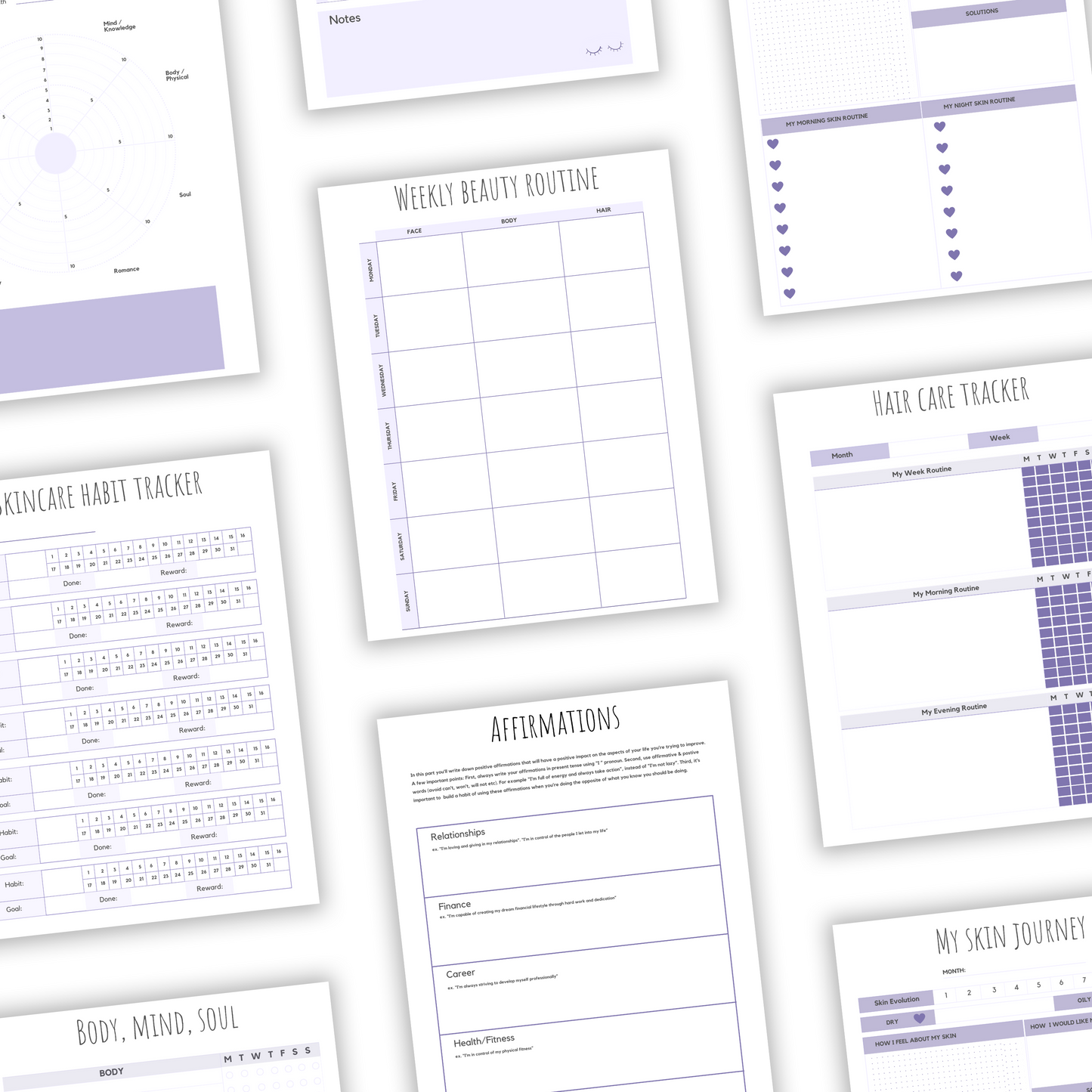 self care planner plr/mrr