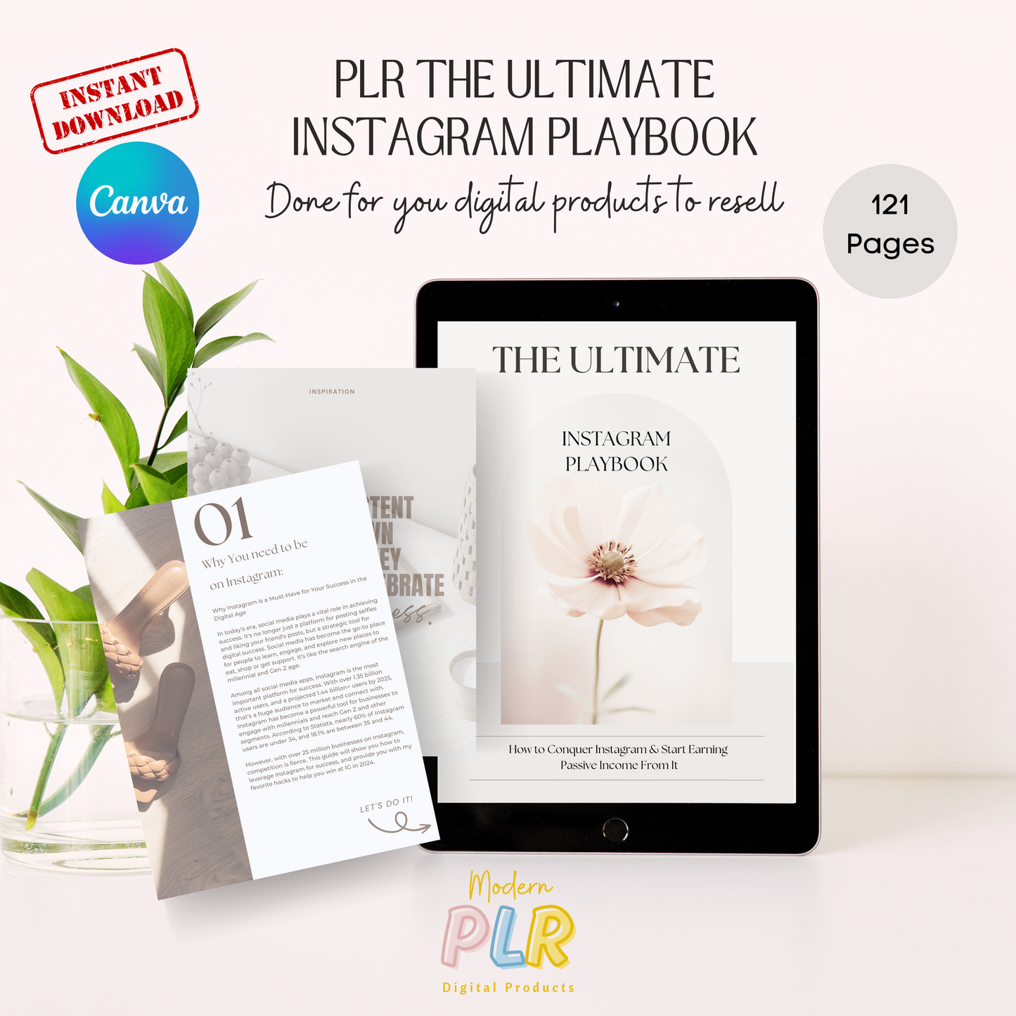 the ultimate instagram playbook plr/mrr