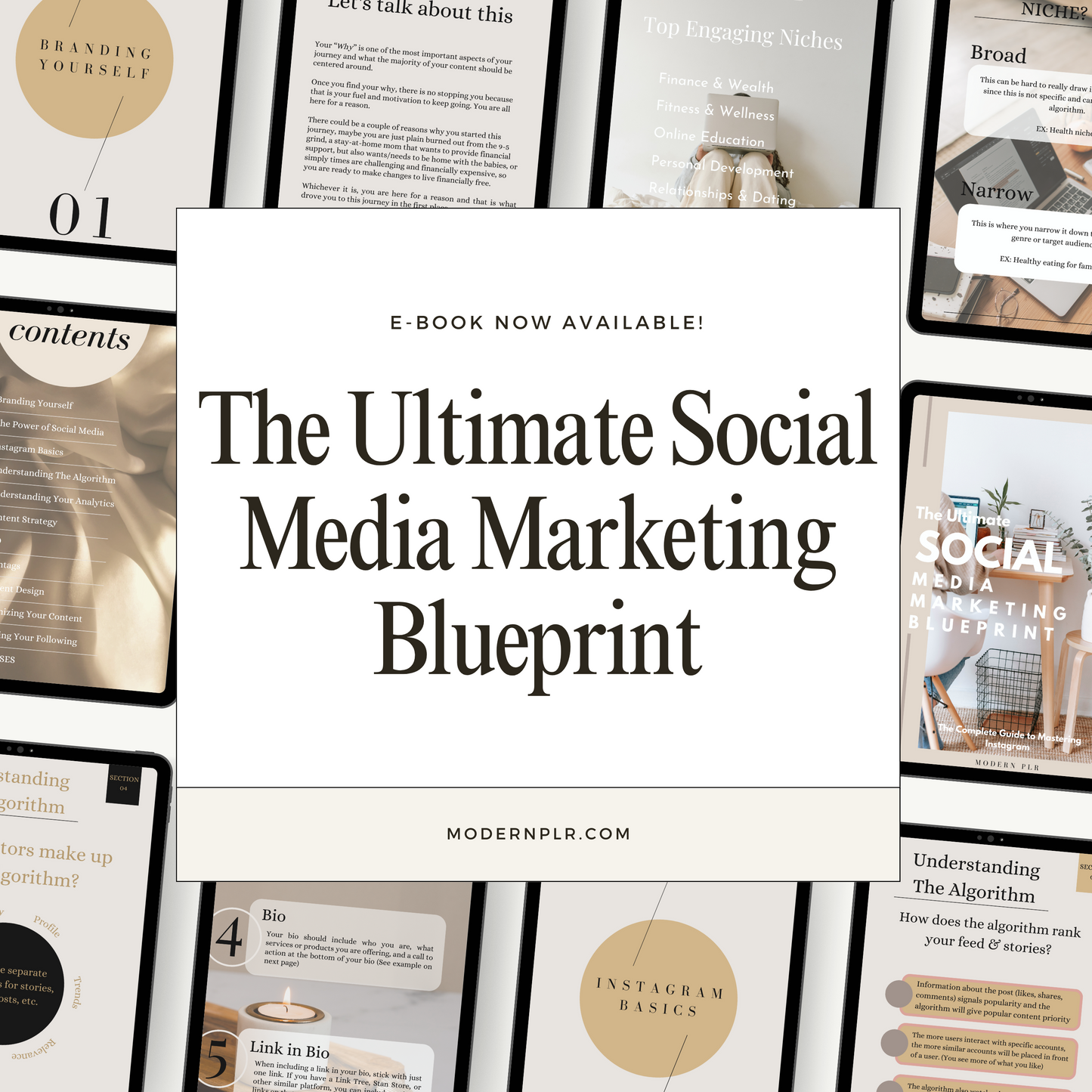 the ultimate social media marketing blueprint plr/mrr