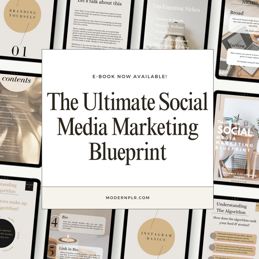 The Ultimate Social Media Marketing Blueprint PLR/MRR