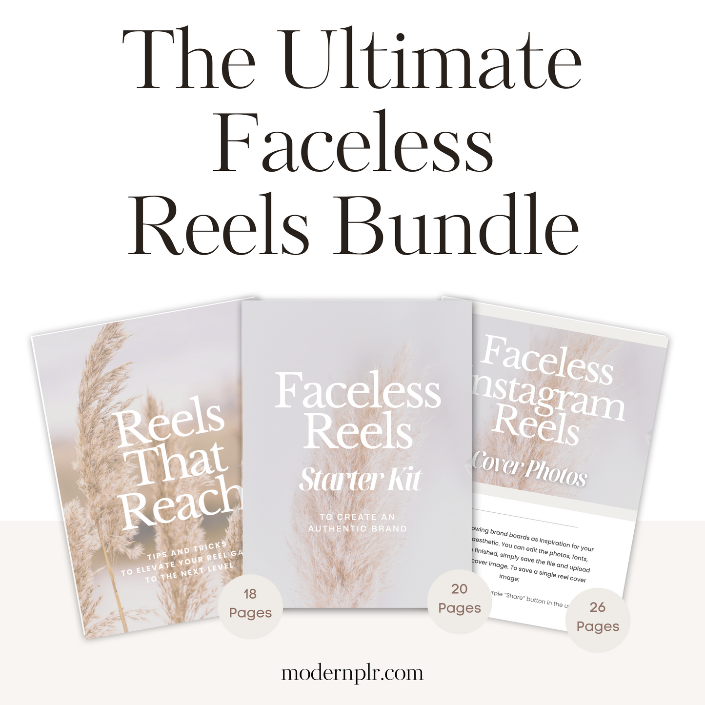 the ultimate faceless reels bundle plr/mrr
