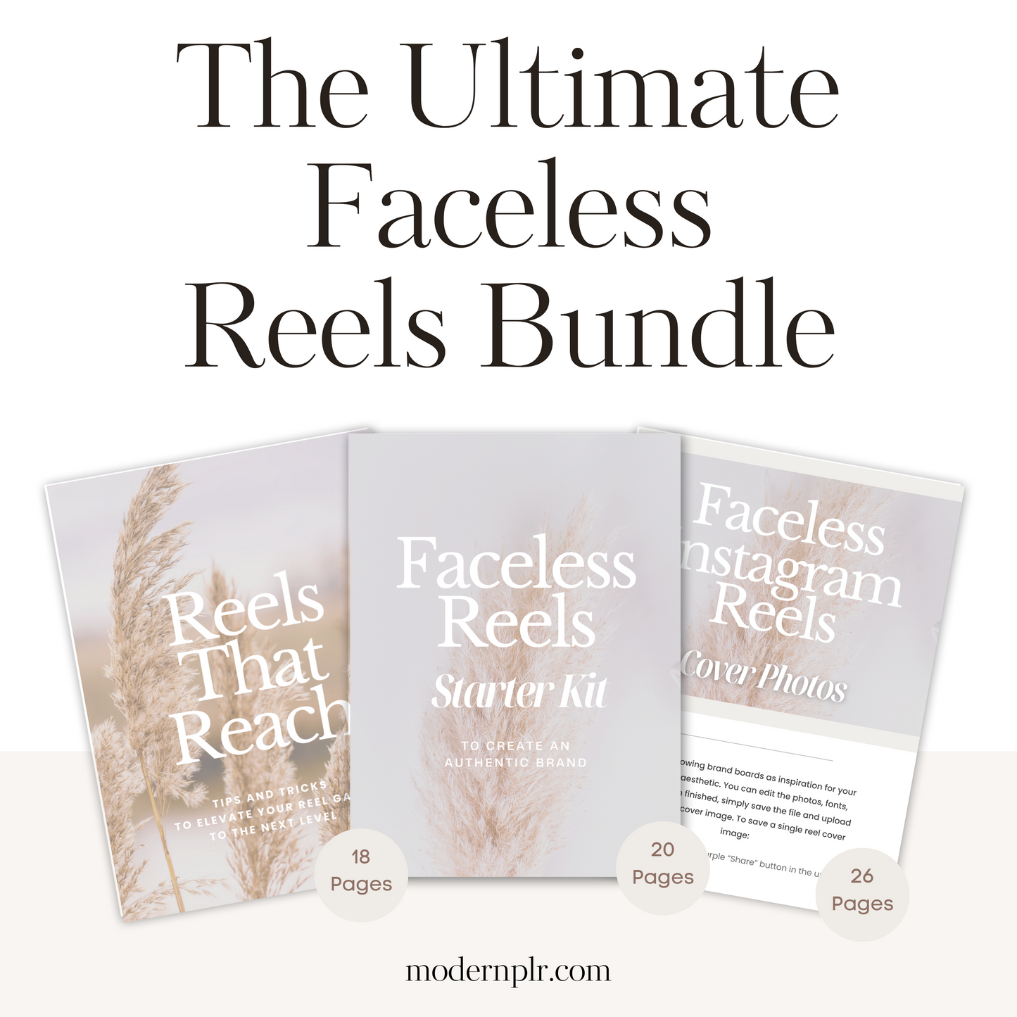 The Ultimate Faceless Reels Bundle PLR/MRR