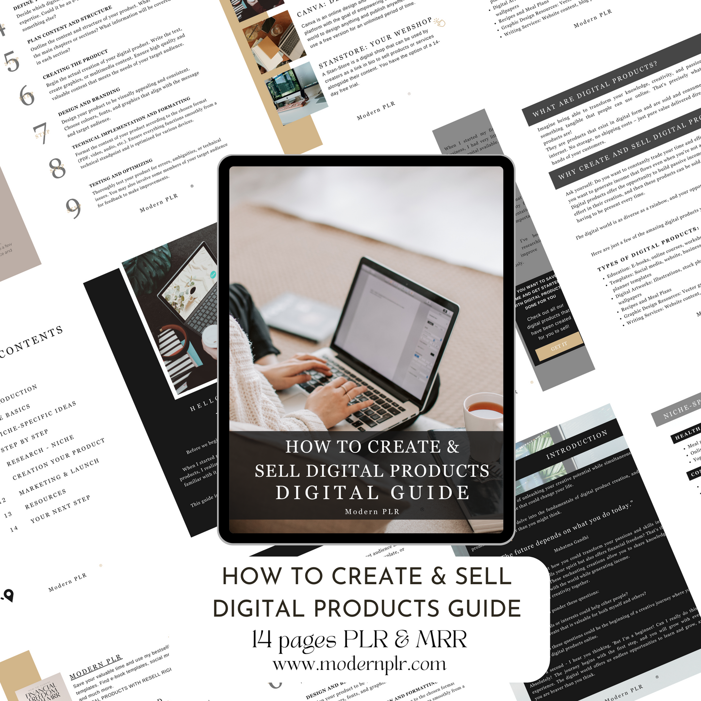 How to Create & Sell Digital Products Guide PLR/MRR
