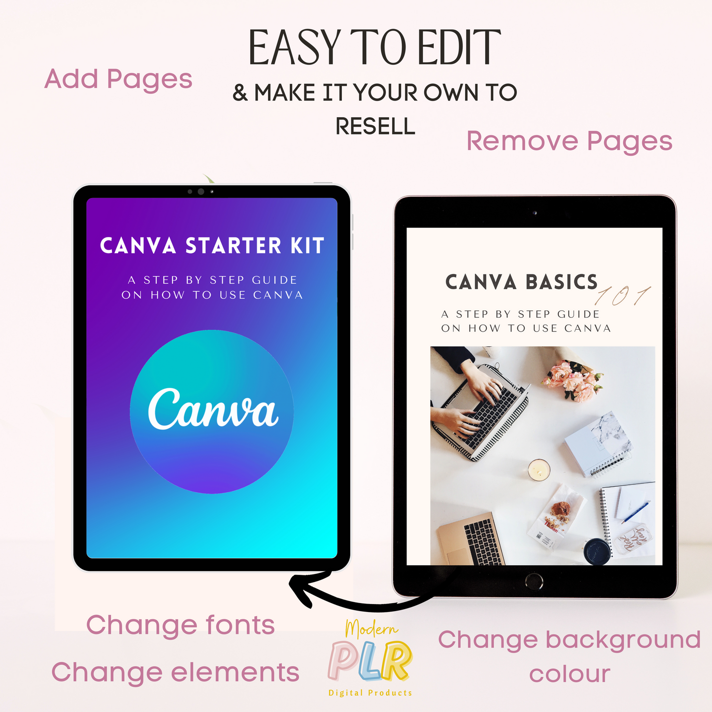 canva basics guide plr/mrr