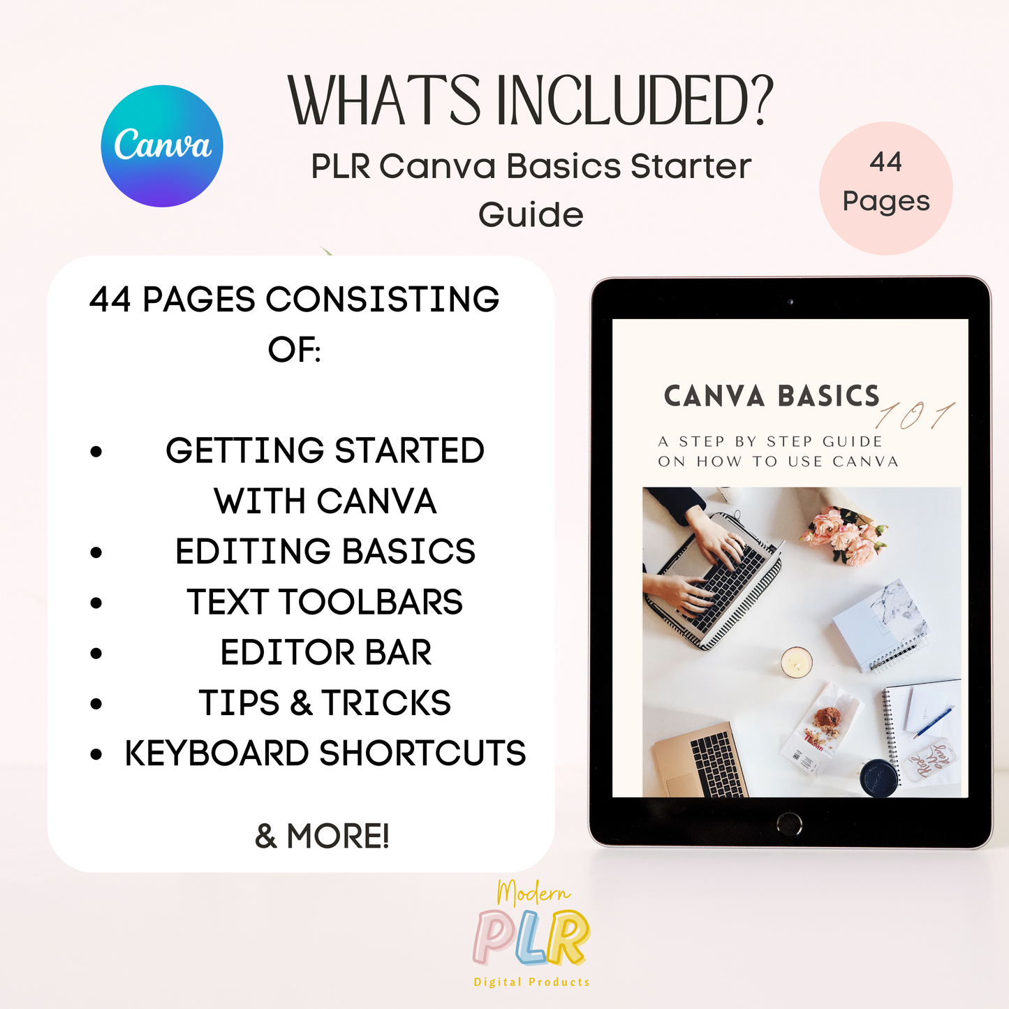 canva basics guide plr/mrr