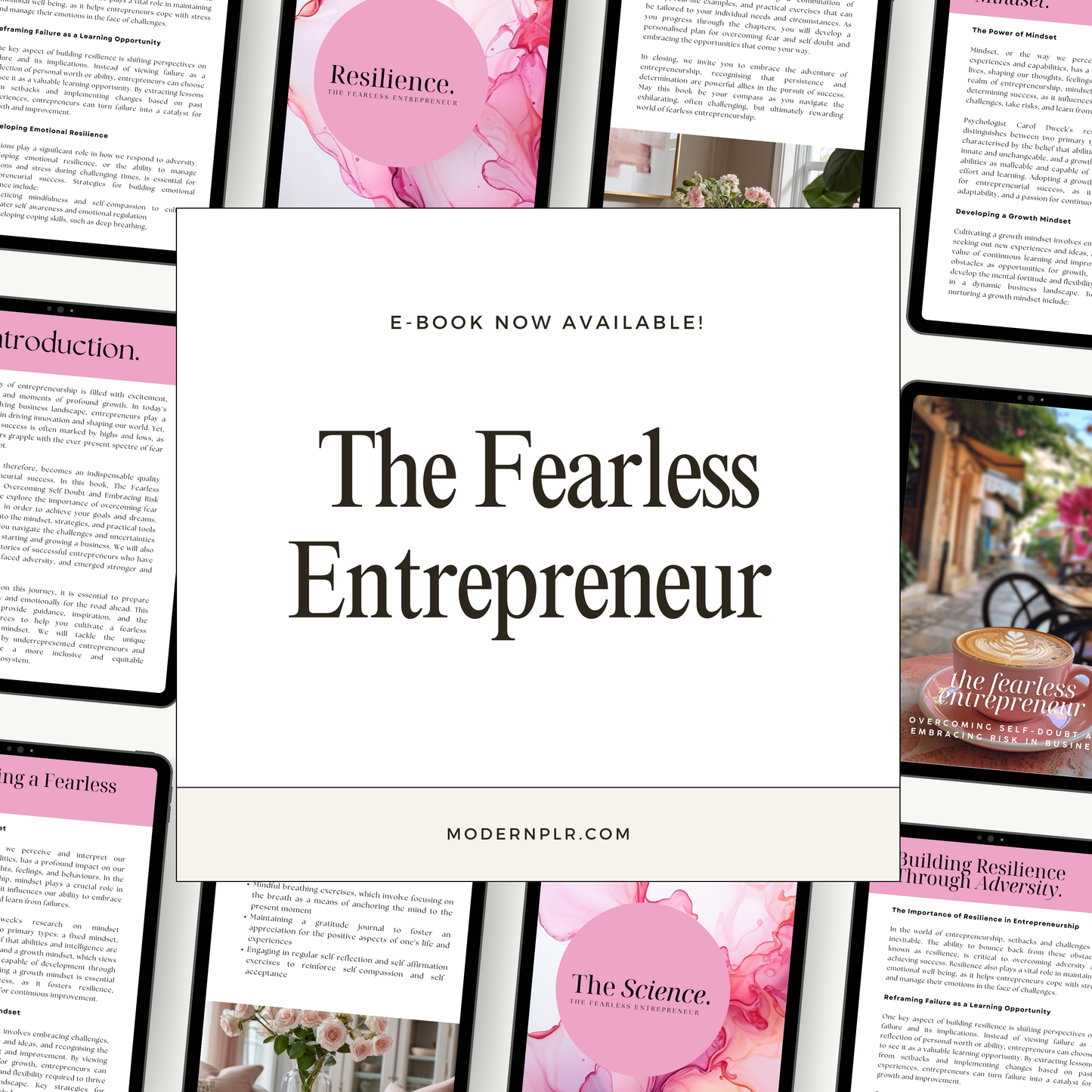 the fearless entrepreneur ebook plr/mrr