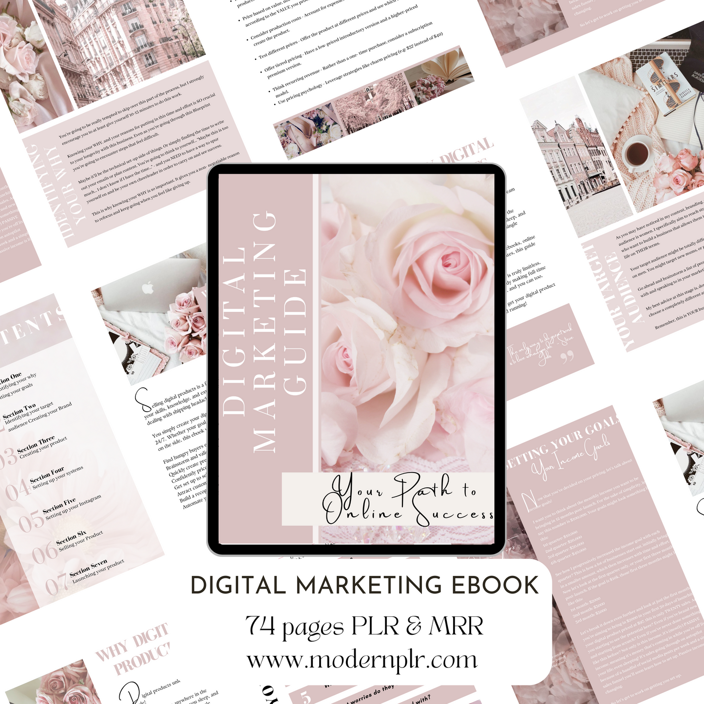 digital marketing ebook plr/mrr