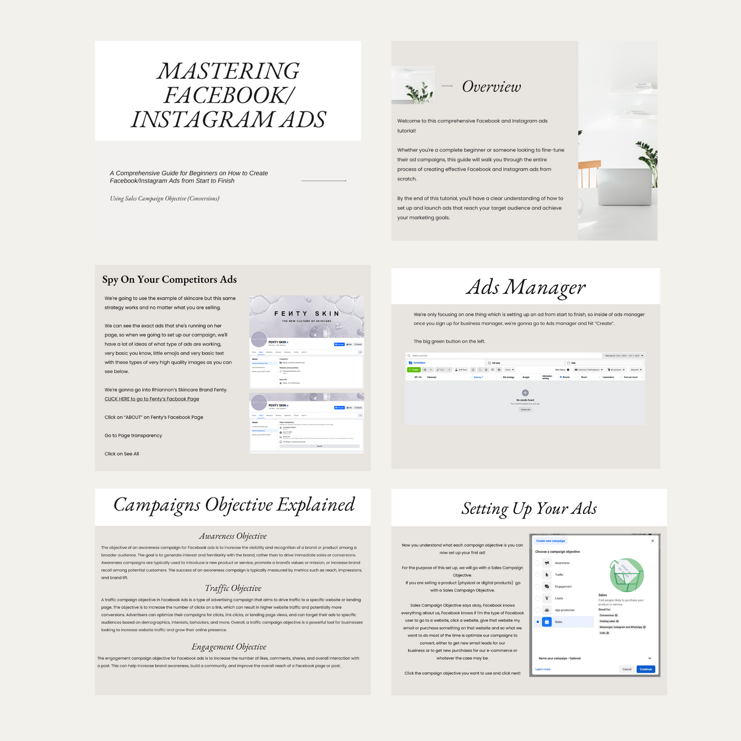 mastering facebook/instagram ads plr/mrr