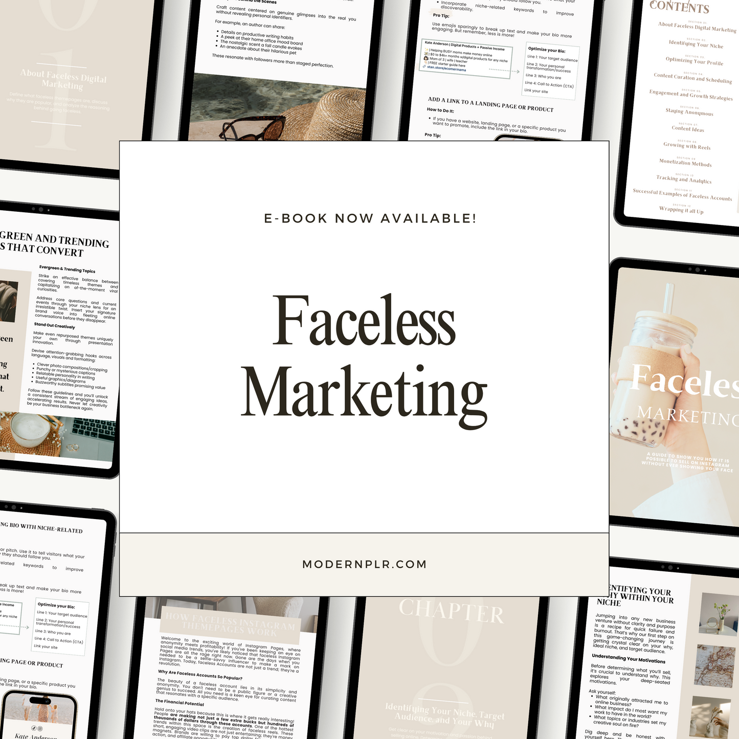 faceless marketing ebook plr/mrr