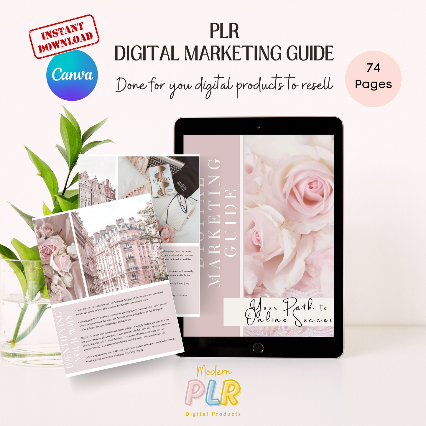 Digital Marketing Ebook PLR/MRR