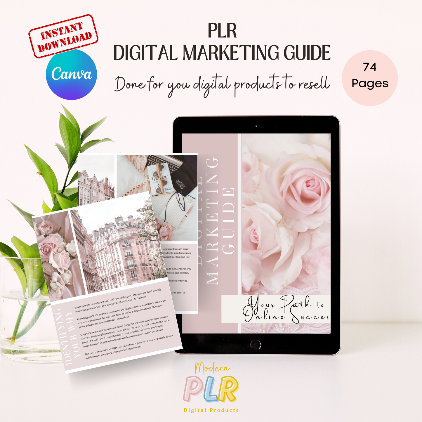 digital marketing ebook plr/mrr