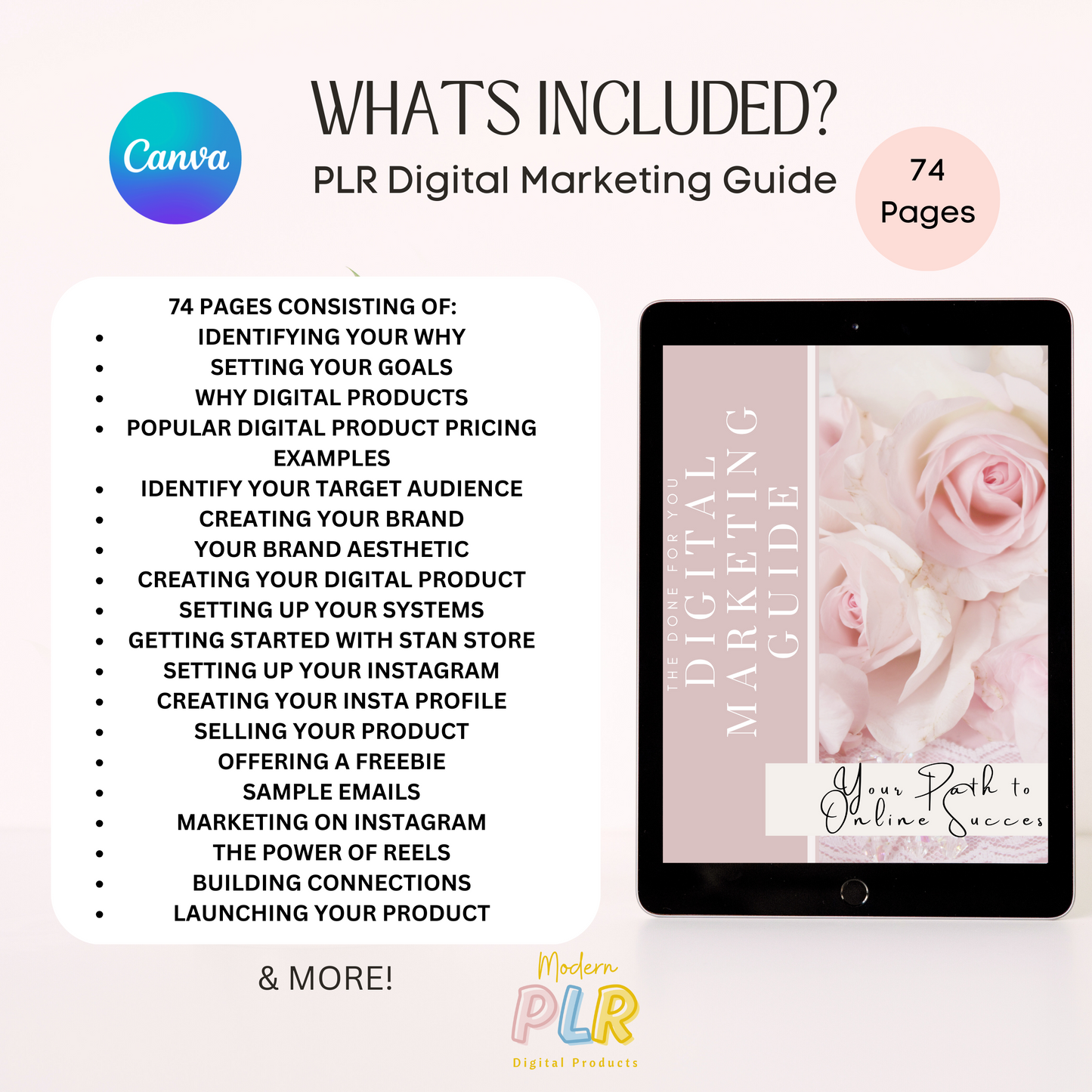 digital marketing ebook plr/mrr