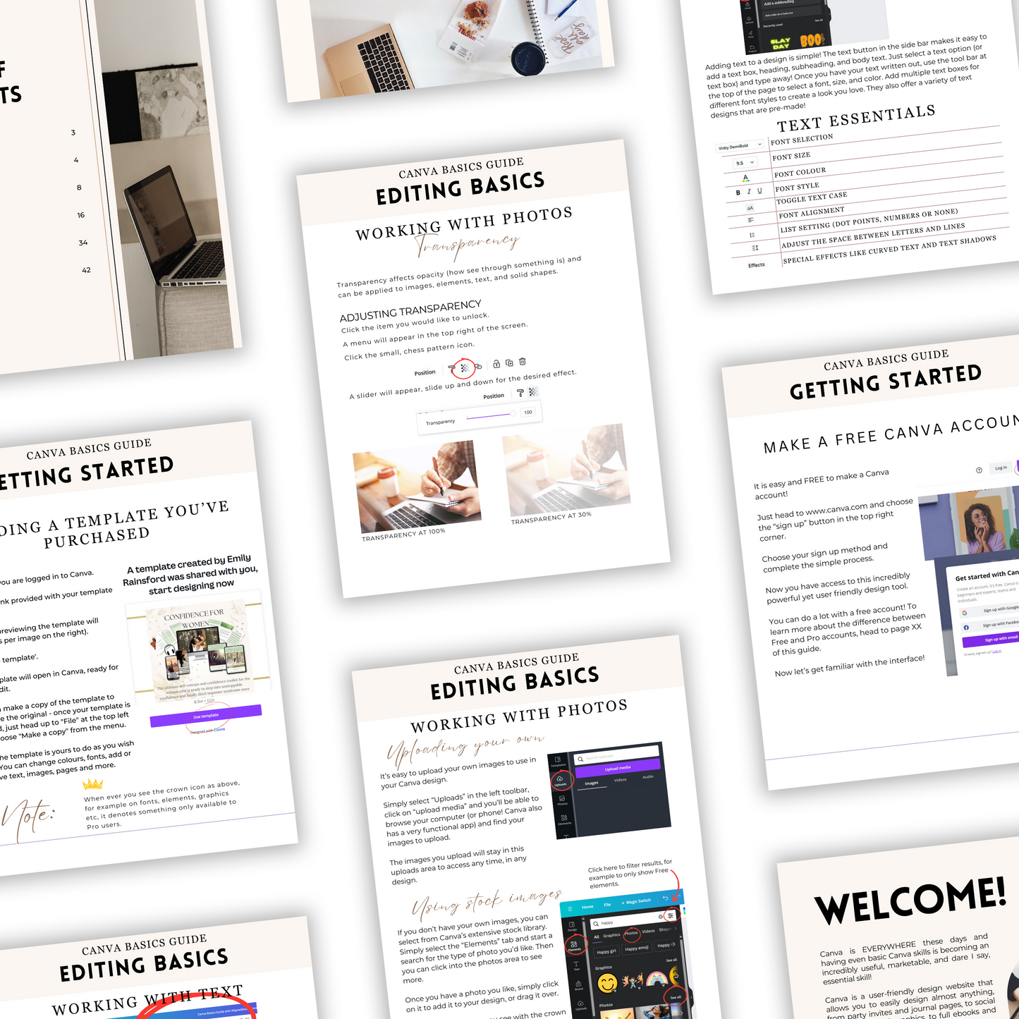 canva basics guide plr/mrr