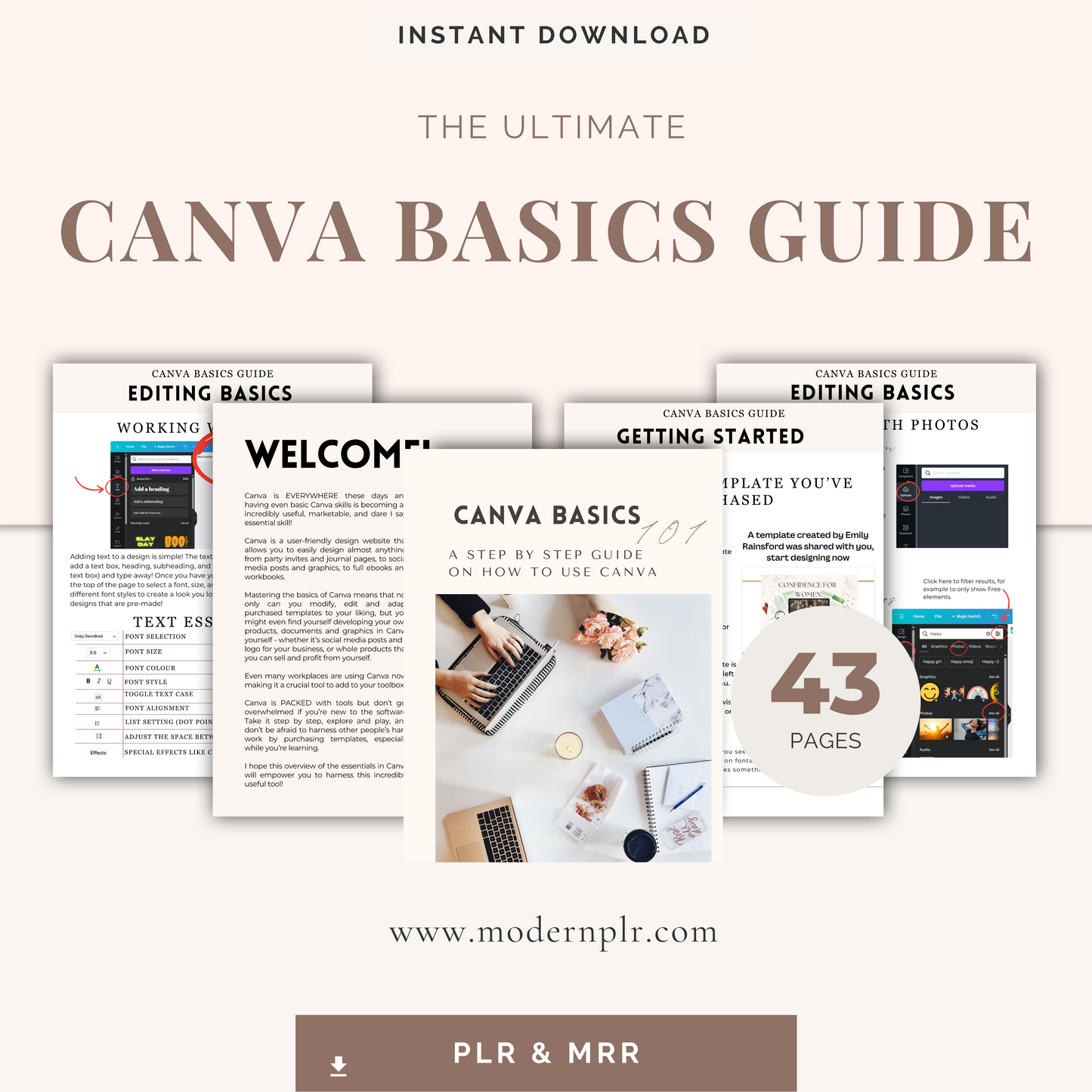 canva basics guide plr/mrr