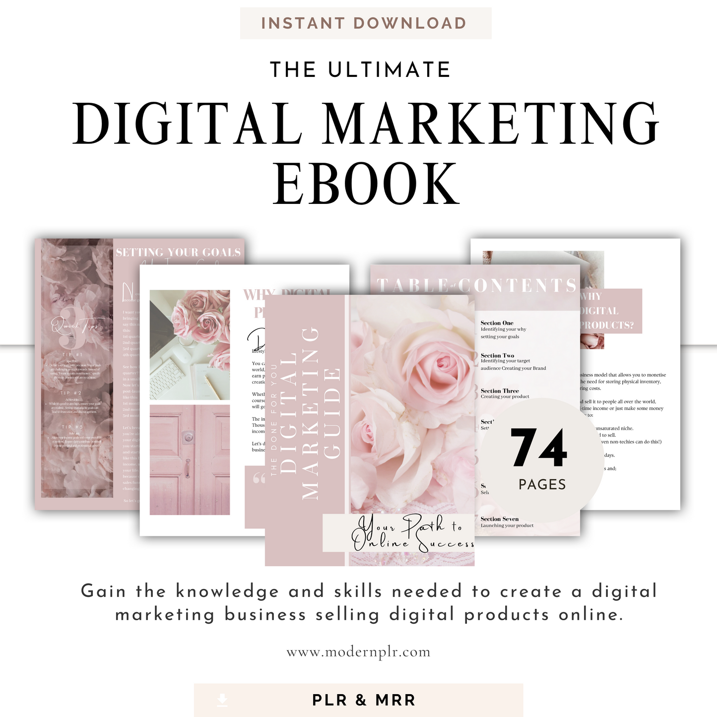 digital marketing ebook plr/mrr