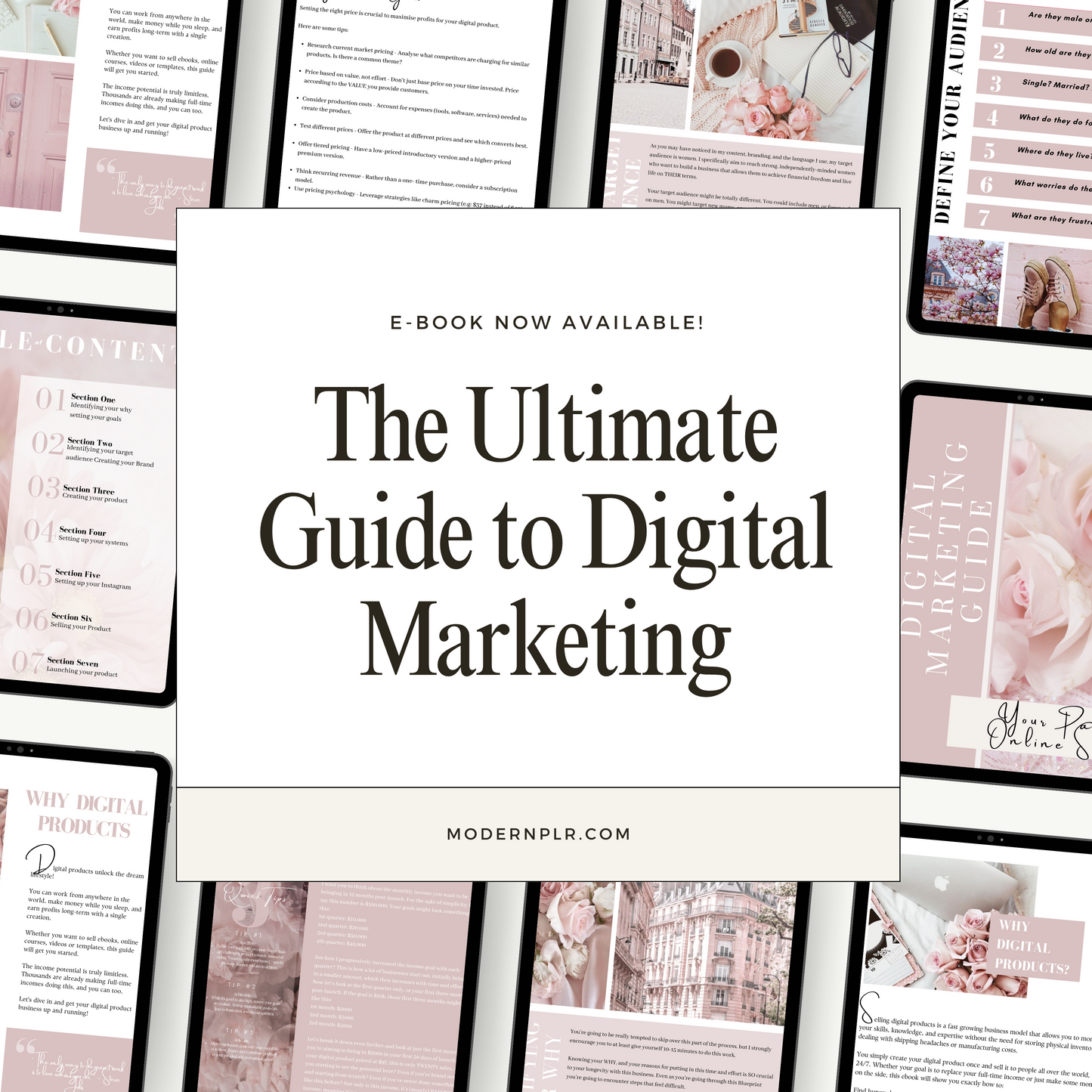 digital marketing ebook plr/mrr