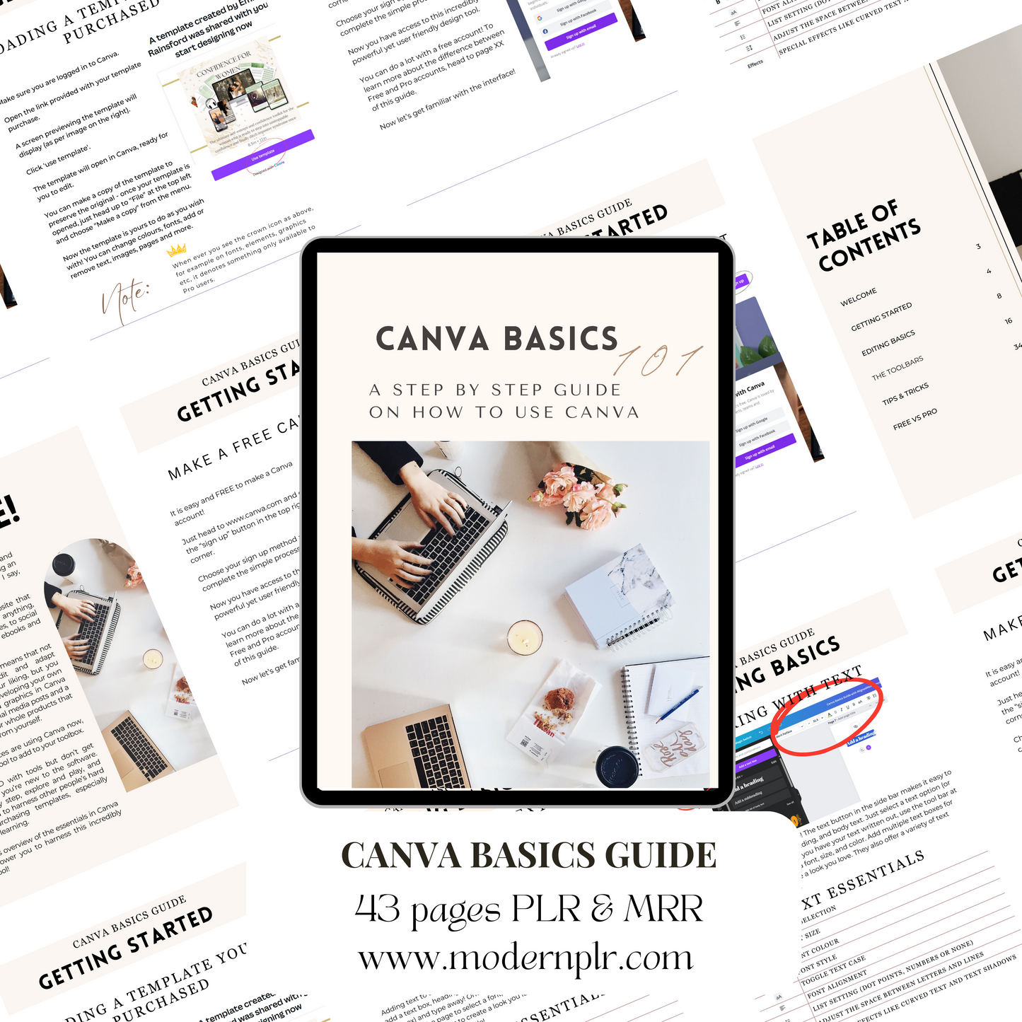 canva basics guide plr/mrr