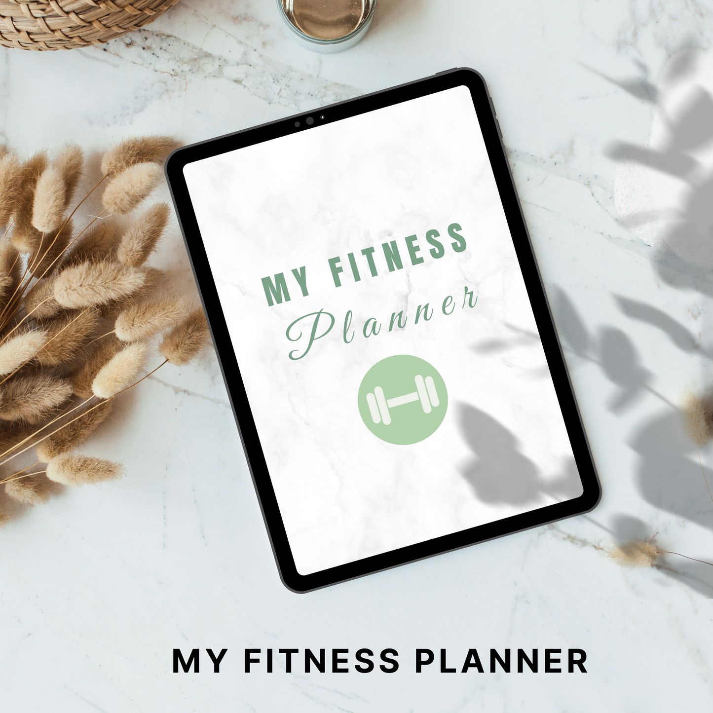 fitness planner plr/mrr
