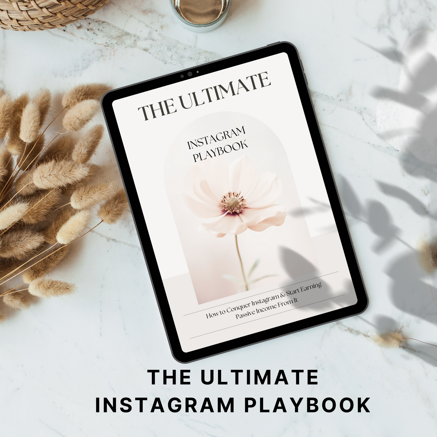 The Ultimate Instagram Playbook PLR/MRR