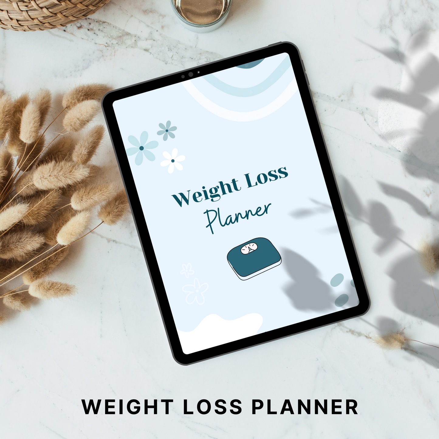 weight loss planner plr/mrr