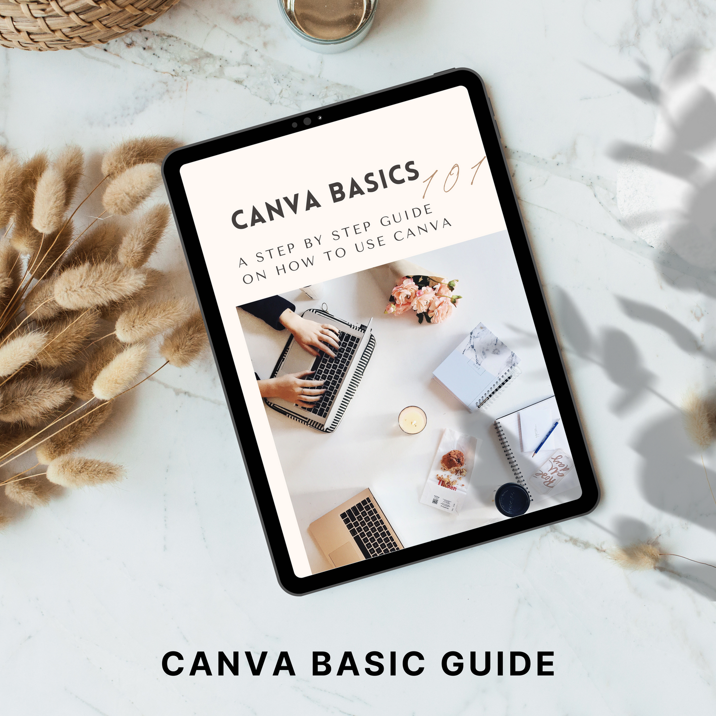 canva basics guide plr/mrr