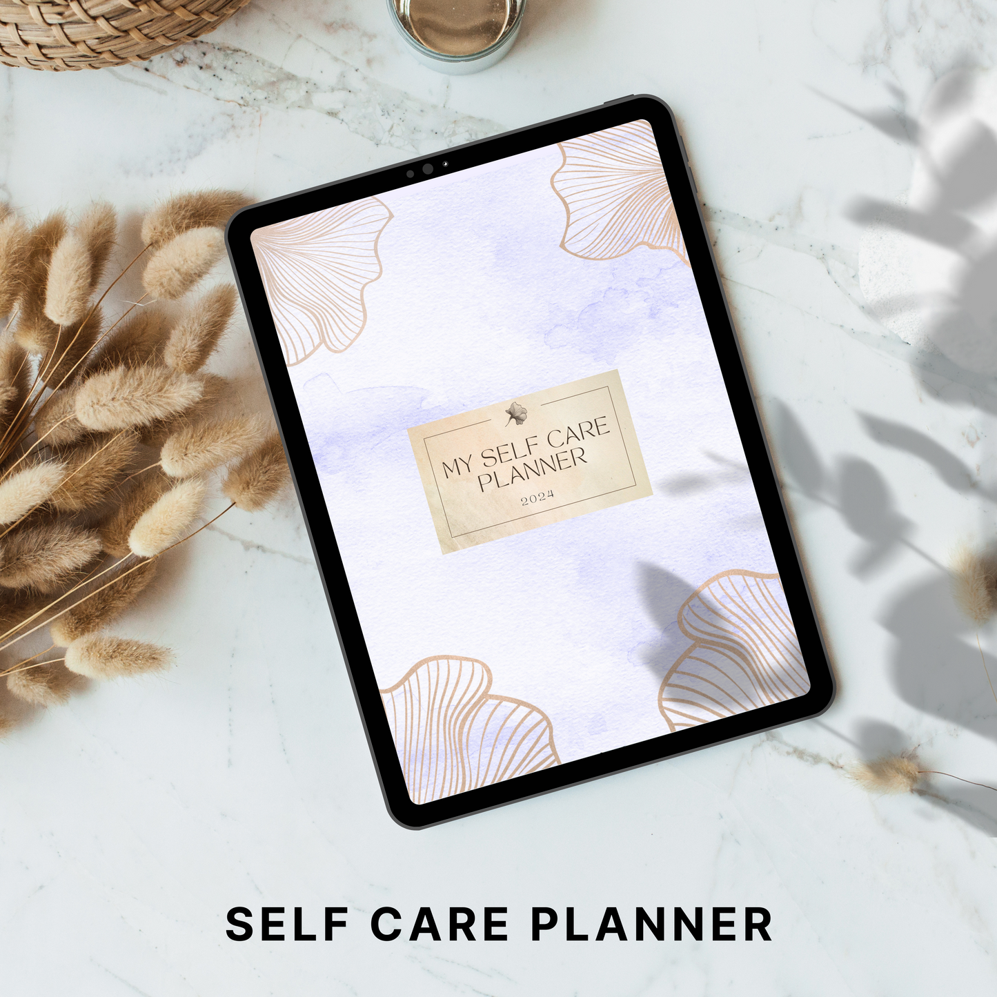 self care planner plr/mrr