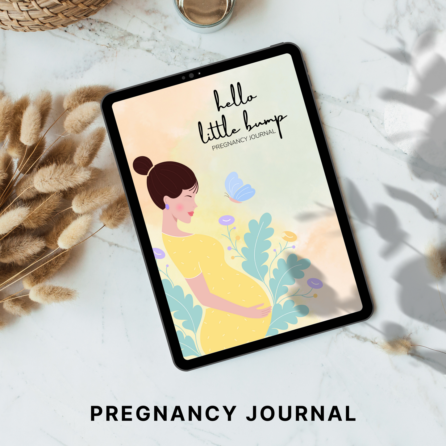 Pregnancy Journal PLR/MRR