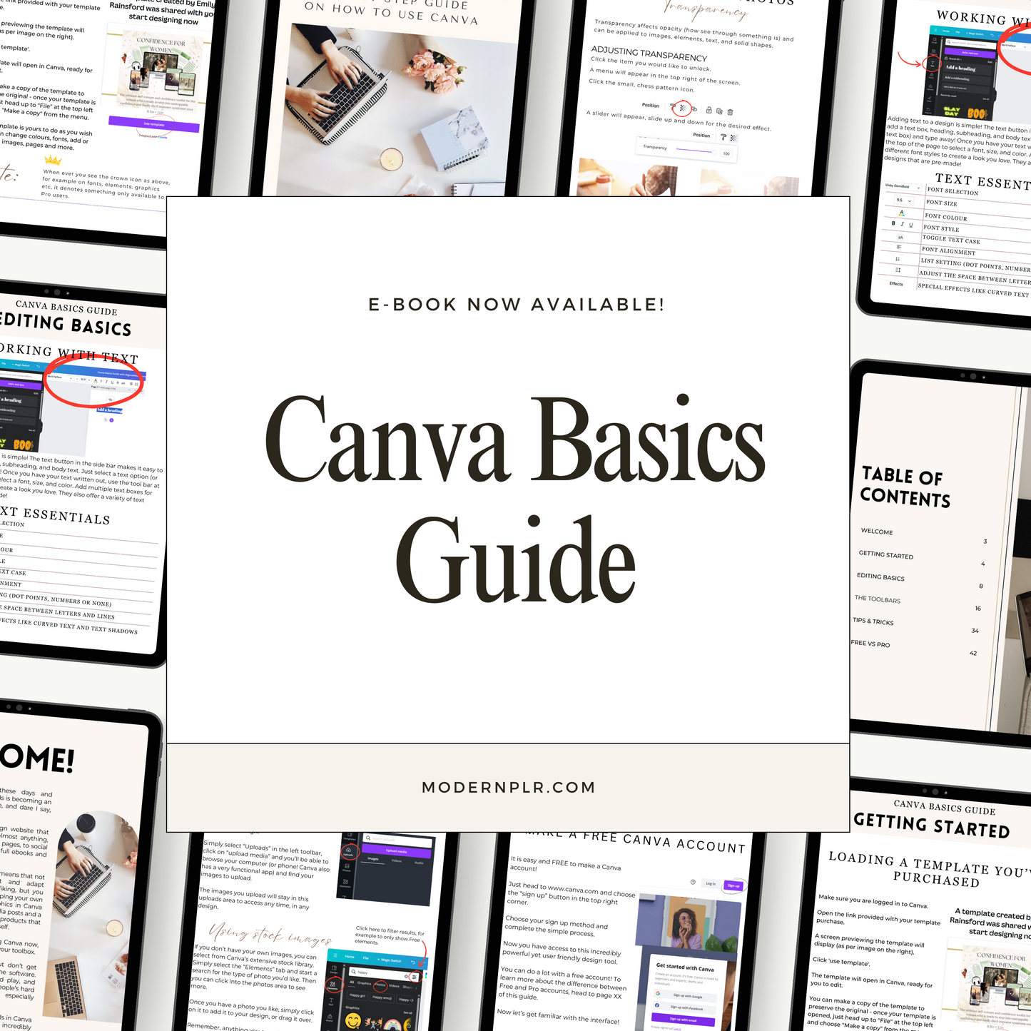 canva basics guide plr/mrr