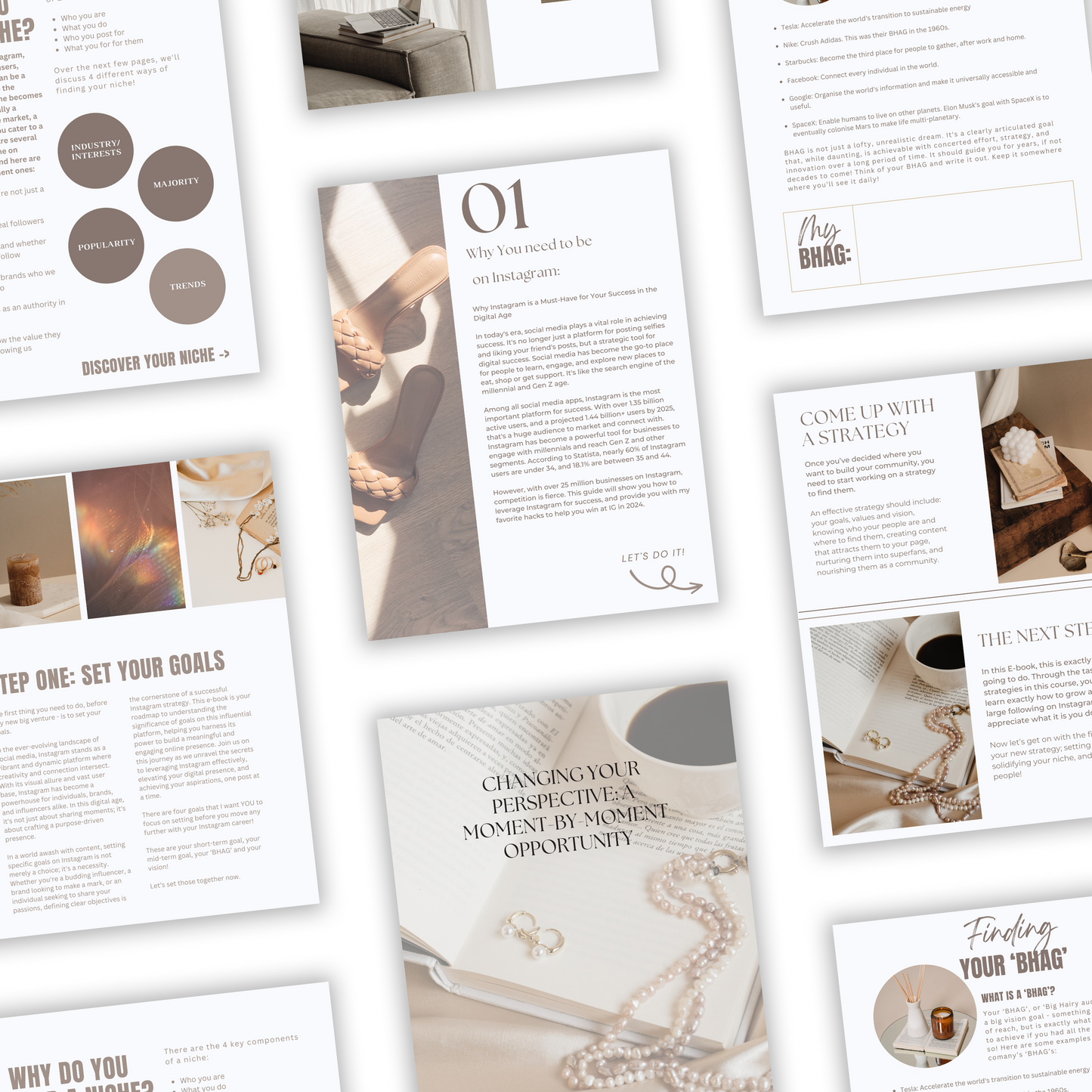 the ultimate instagram playbook plr/mrr