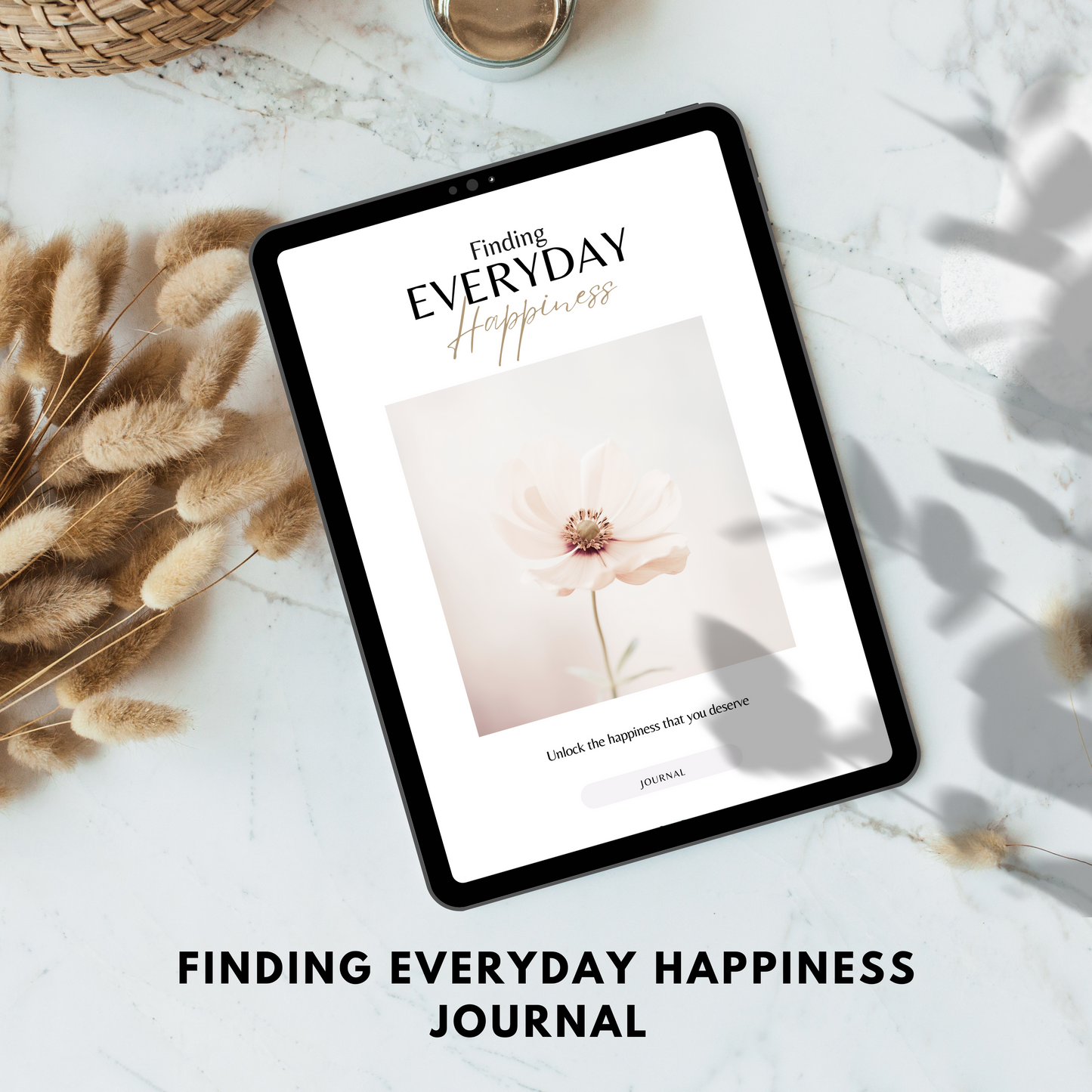 finding everyday happiness journal plr/mrr