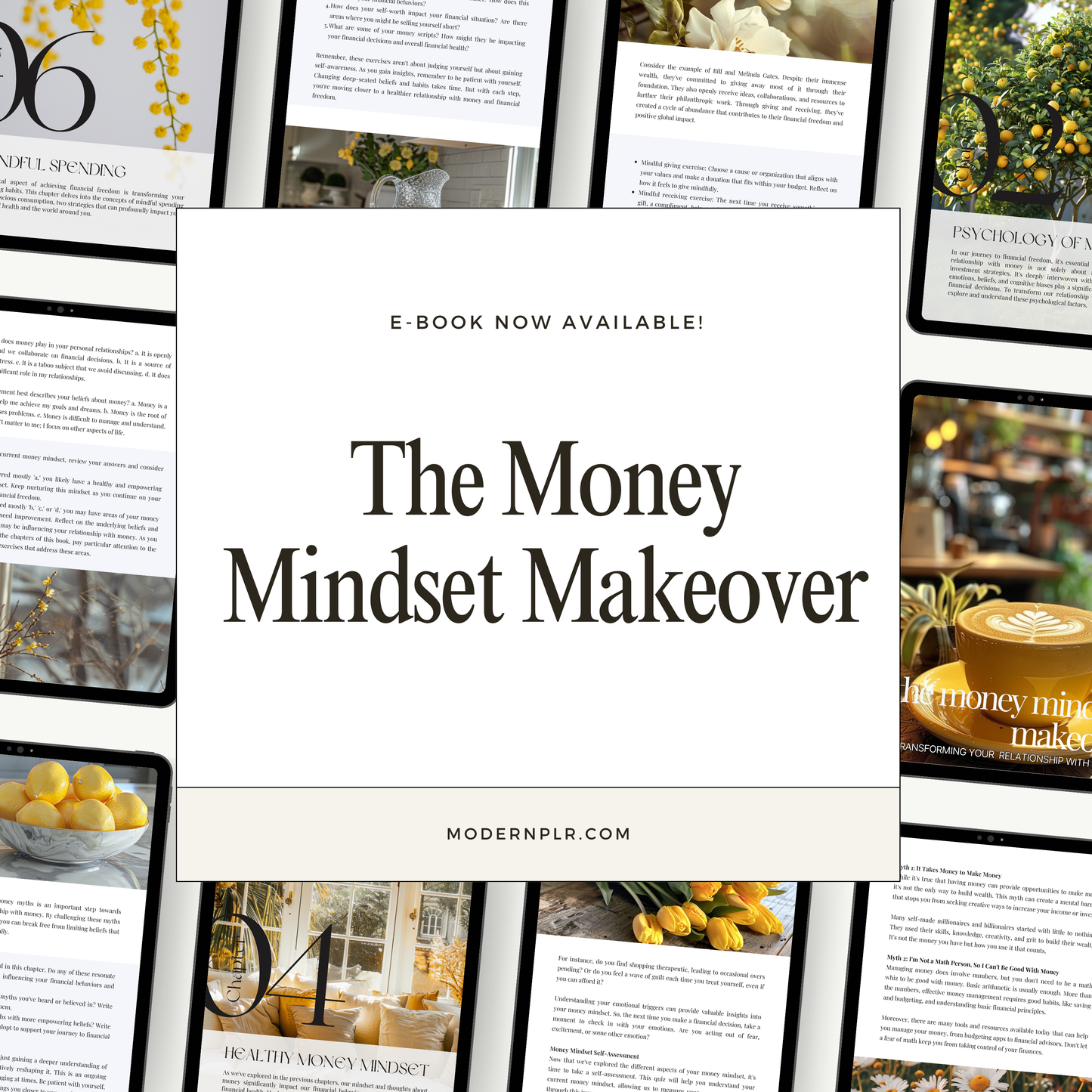 the money mindset makeover plr/mrr