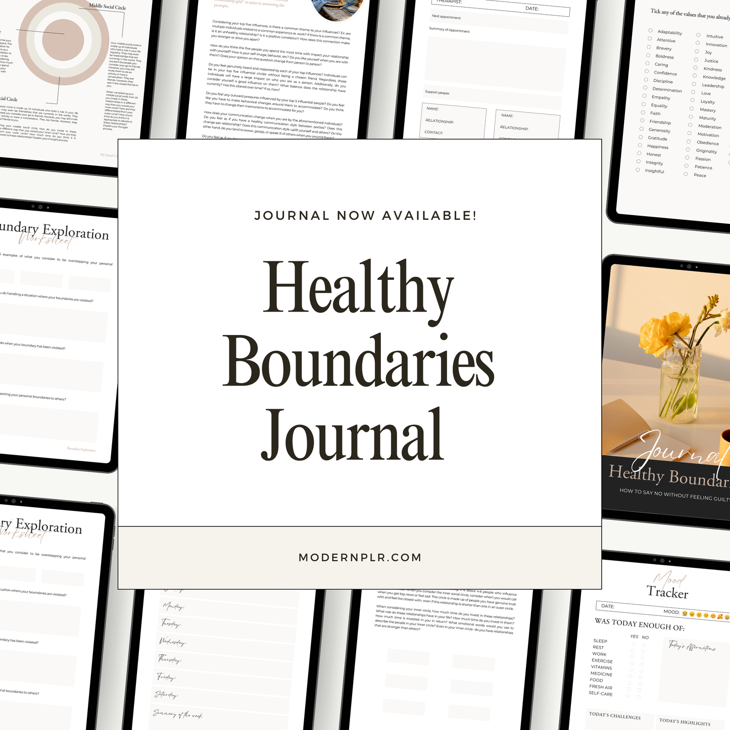 healthy boundaries journal plr/mrr