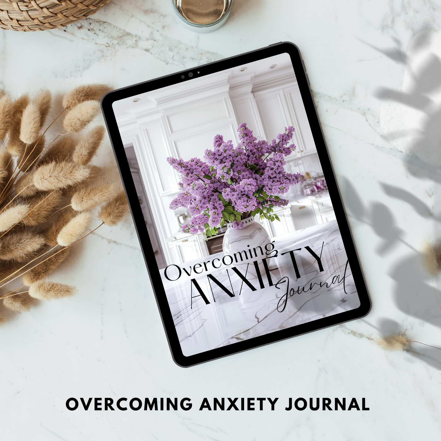 overcoming anxiety journal plr/mrr