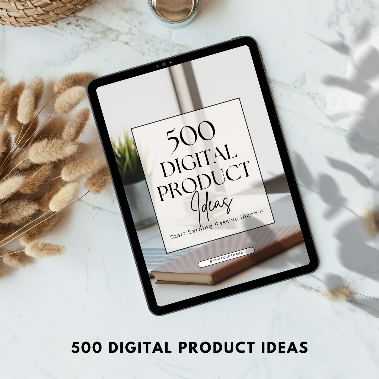 500 digital product ideas guide plr/mrr