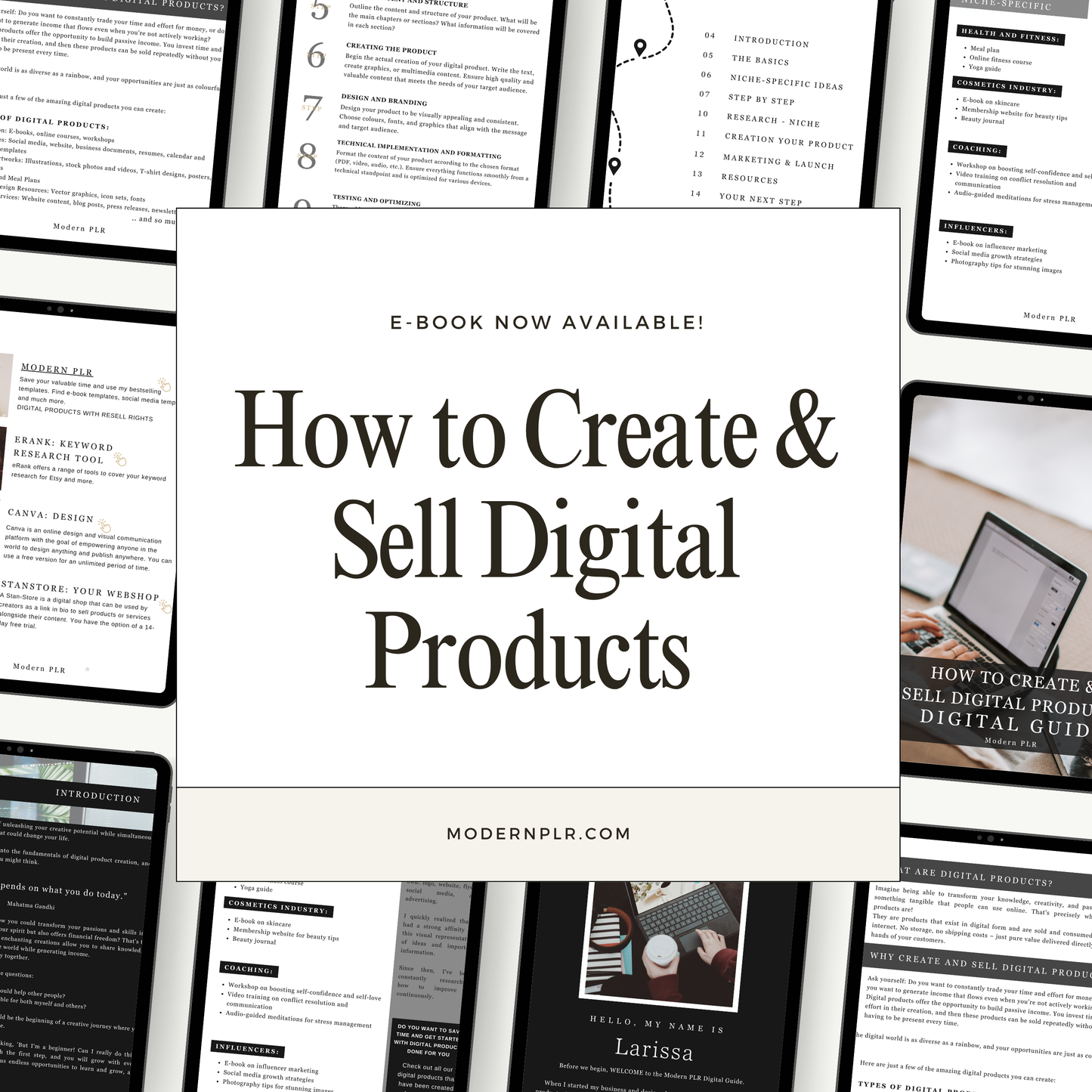 how to create & sell digital products guide plr/mrr