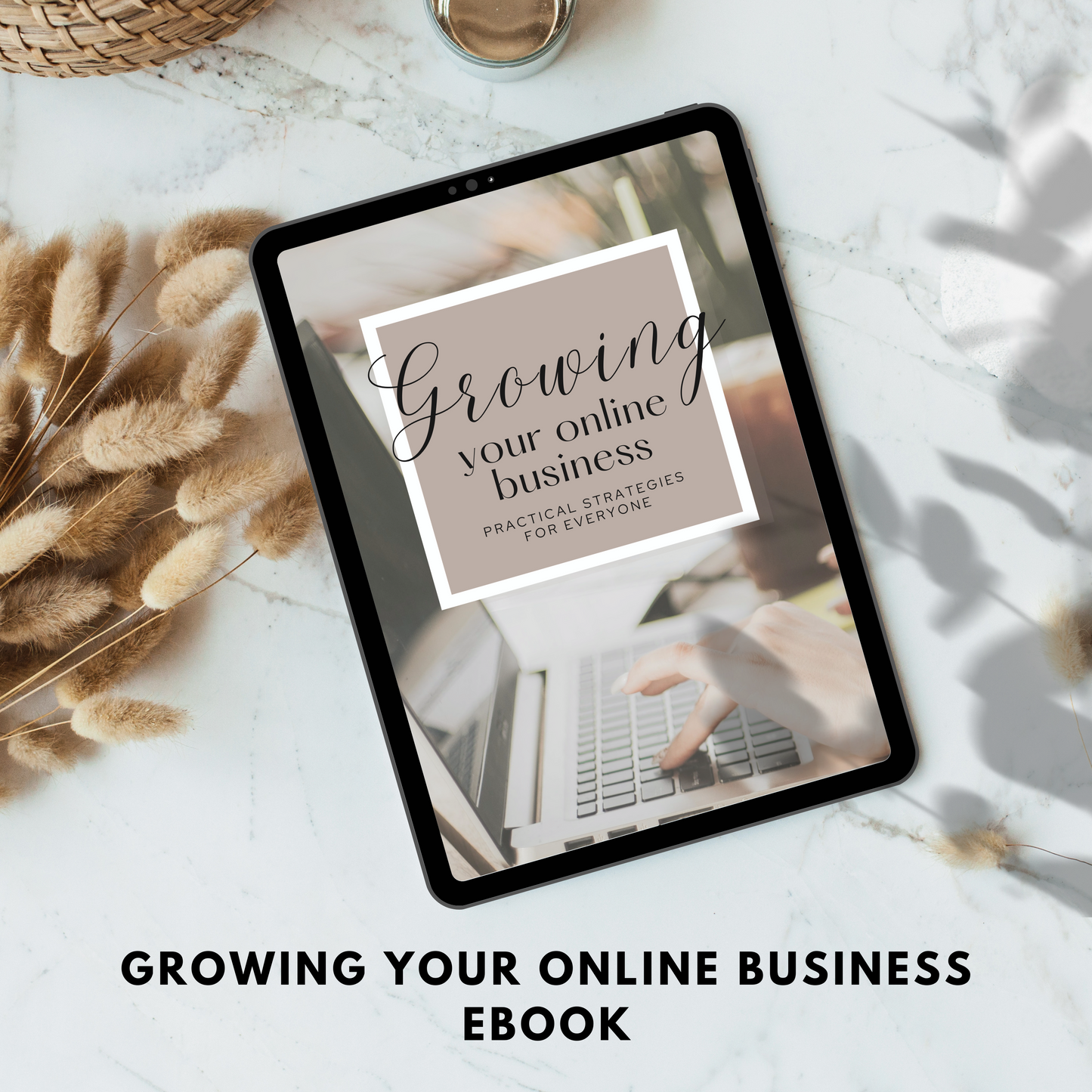 growing your online business ebook plr/mrr