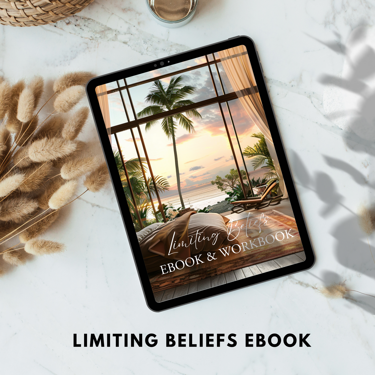 limiting beliefs ebook & workbook plr/mrr