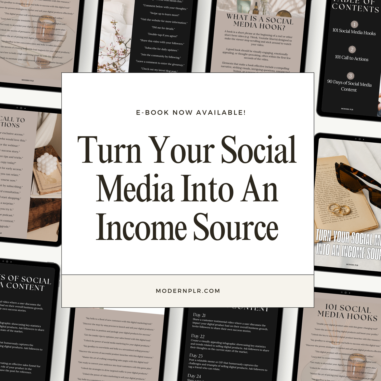 turn your social media into an income source plr/mrr