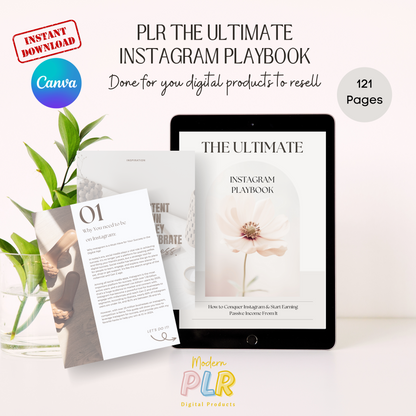 The Ultimate Instagram Playbook PLR/MRR