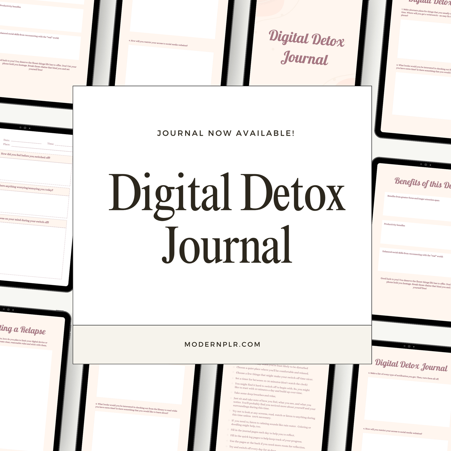 digital detox journal plr/mrr