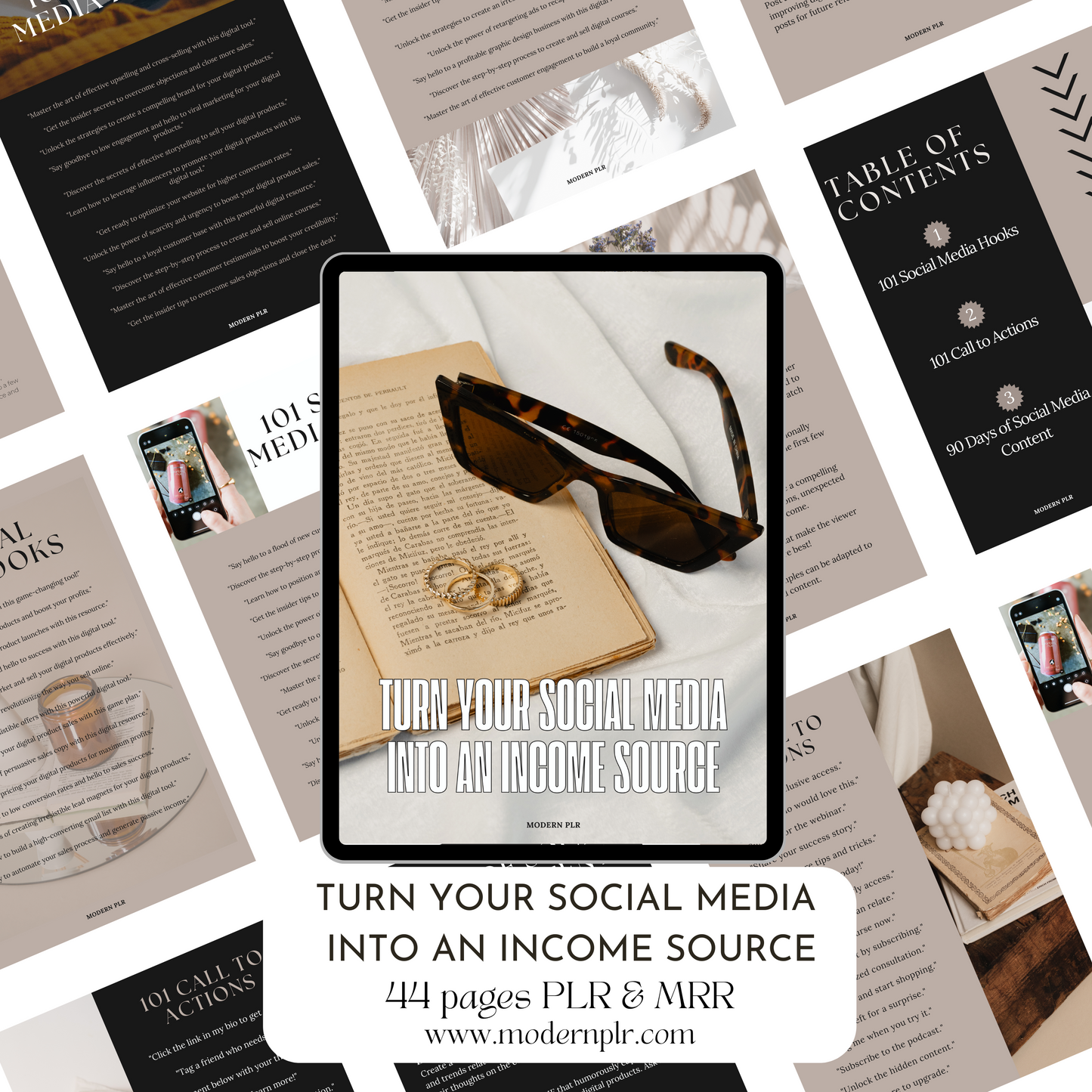 turn your social media into an income source plr/mrr