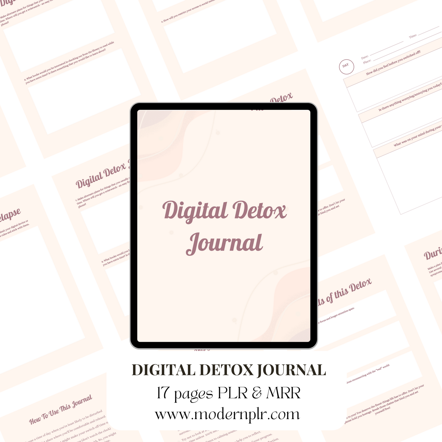 digital detox journal plr/mrr